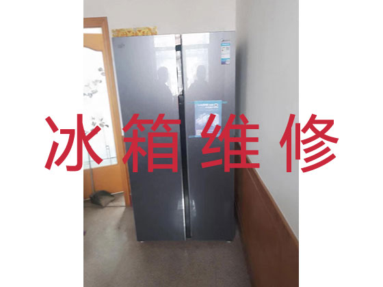 广州冰箱冰柜维修公司